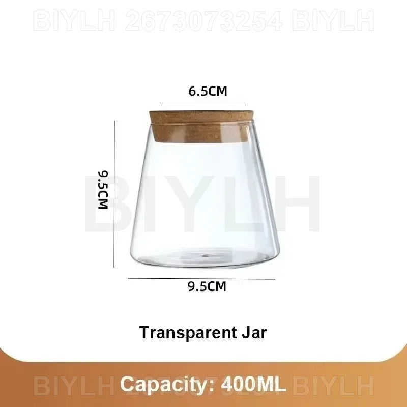 Hydroponic Glass Vase with Base Tray